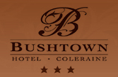 The Wedding Planner Bushtown Hotel