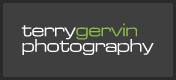 The Wedding Planner Terry Gervin Wedding Photography