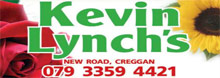 The Wedding Planner Kevin Lynch