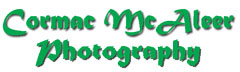 The Wedding Planner CMCA iMAGES - Cormac McAleer Photography The Wedding Planner CMCA iMAGES - Cormac McAleer Photography