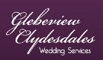 The Wedding Planner Glebeview Clydesdales Wedding services