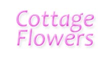 The Wedding Planner Cottage Flowers